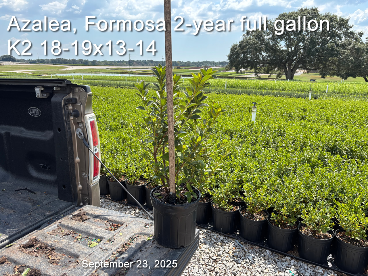 gallery/form2yf k2 sept23.jpg